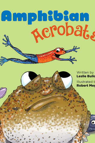 Cover of Amphibian Acrobats