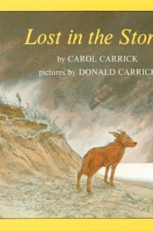 Cover of Lost in the Storm