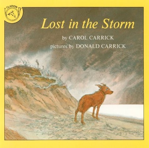 Book cover for Lost in the Storm