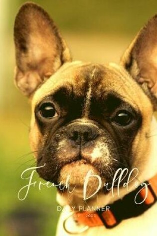 Cover of 2019 2020 15 Months French Bulldog Daily Planner
