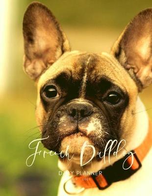 Book cover for 2019 2020 15 Months French Bulldog Daily Planner