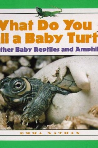 Cover of What Do You Call a Baby Turtle?
