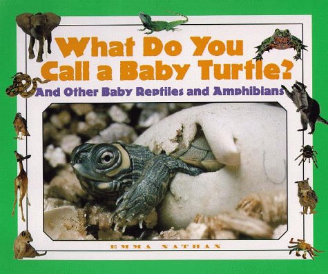 Cover of What Do You Call a Baby Turtle?