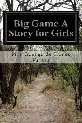 Book cover for Big Game A Story for Girls