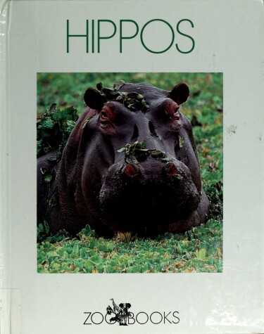 Book cover for Hippos