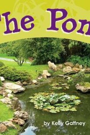 Cover of The Pond