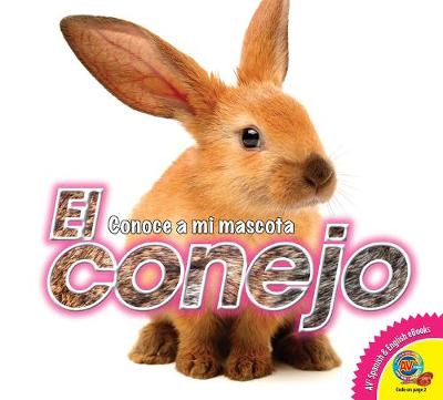 Cover of El Conejo