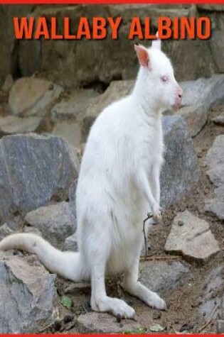 Cover of Wallaby Albino