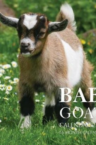 Cover of Baby Goats Calendar 2019