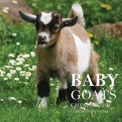 Book cover for Baby Goats Calendar 2019