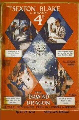Cover of The Diamond Dragon