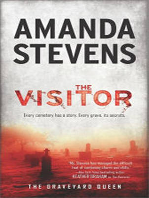 Book cover for The Visitor