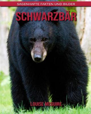 Book cover for Schwarzbär