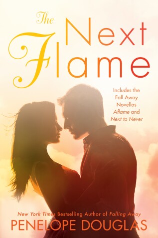 Book cover for The Next Flame