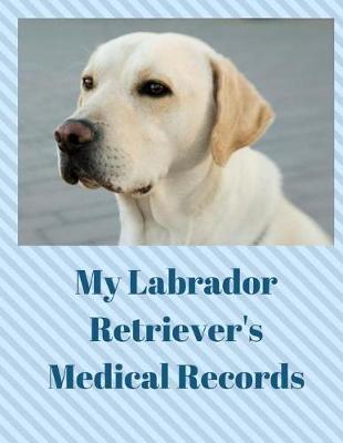 Book cover for My Labrador Retriever's Medical Records