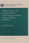 Book cover for Microeconomic Issues of Labor Markets in Developing Countries