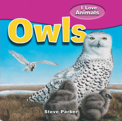 Book cover for Owls