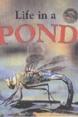 Cover of Life in a Pond