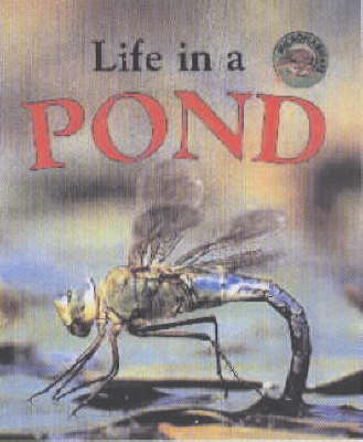 Book cover for Life in a Pond