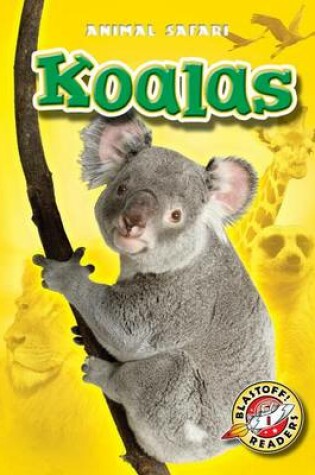 Cover of Koalas