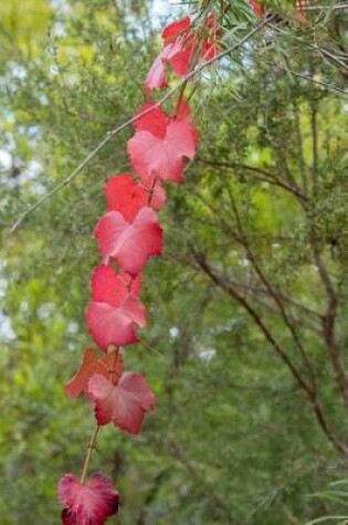 Cover of Red Grapevine Leaves in Autumn Journal