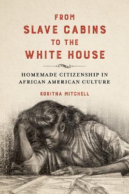 Cover of From Slave Cabins to the White House