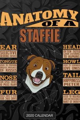 Book cover for Anatomy Of A Staffordshire Bull Terrier