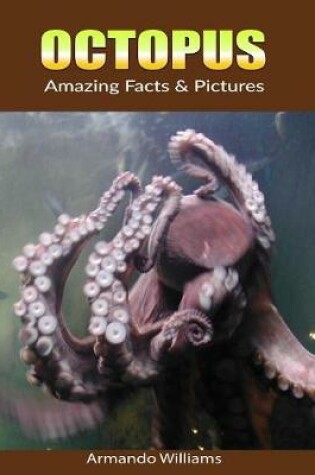 Cover of Octopus