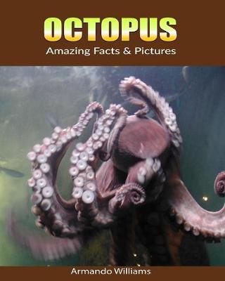 Book cover for Octopus