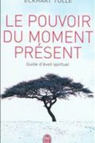 Cover of Le pouvoir du moment present