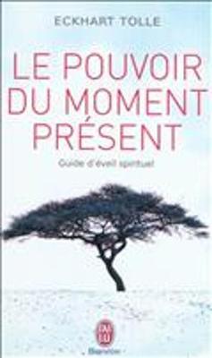 Book cover for Le pouvoir du moment present