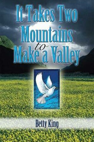 Cover of It Takes Two Mountains to Make a Valley