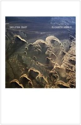 Book cover for Skeleton Coast