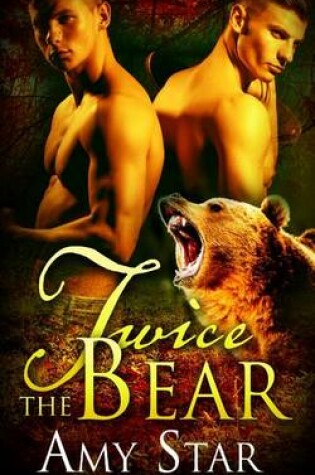 Cover of Twice The Bear