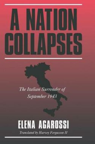 Cover of A Nation Collapses