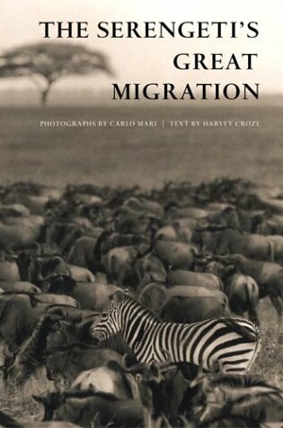 Cover of Serengeti's Great Migration