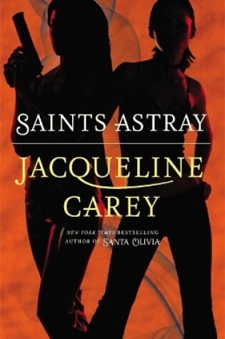 Cover of Saints Astray