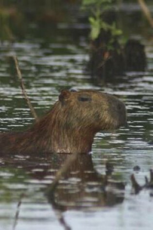 Cover of A Capybara Swimming in Its Natural Habitat Journal