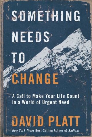 Book cover for Something Needs to Change