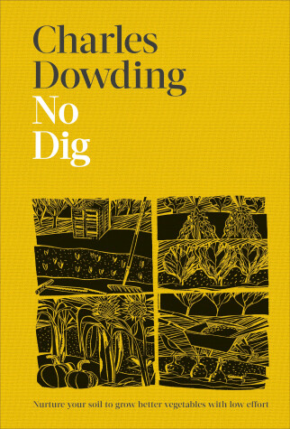 Book cover for No Dig