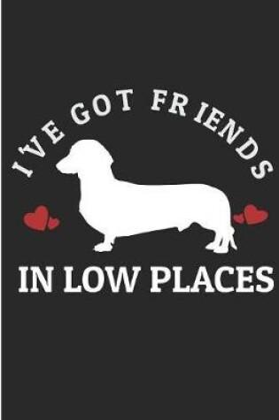 Cover of I 'Ve Got Friends in Low Places