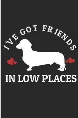 Book cover for I 'Ve Got Friends in Low Places