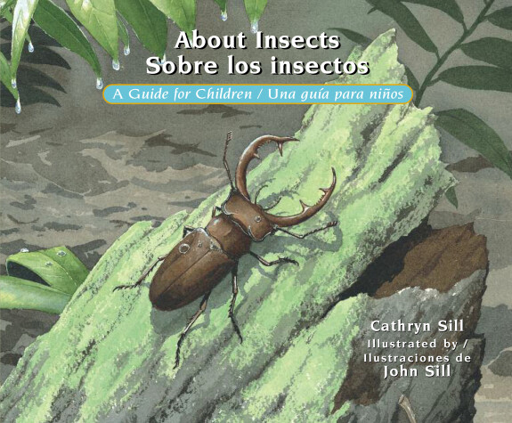 Cover of About Insects / Sobre los insectos