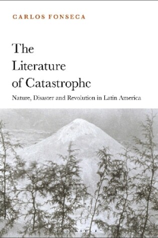 Cover of The Literature of Catastrophe