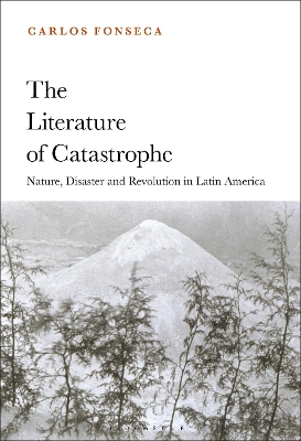 Book cover for The Literature of Catastrophe