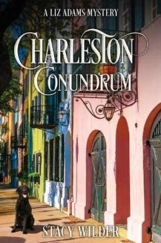 Cover of Charleston Conundrum