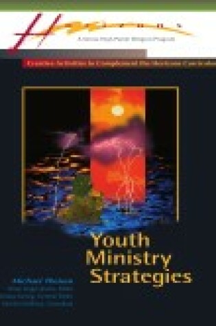 Cover of Youth Ministry Strategies