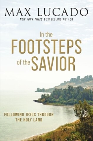 Cover of In the Footsteps of the Savior