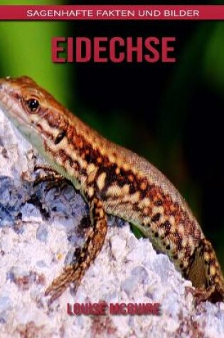 Cover of Eidechse