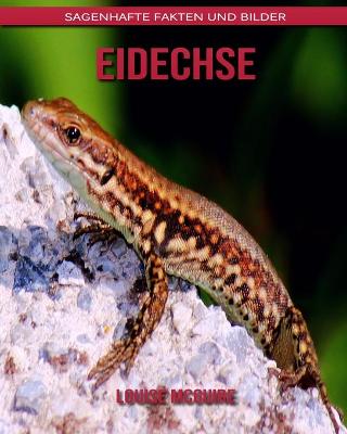 Book cover for Eidechse